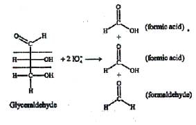 Carbohydrates: Monosaccharides, Disaccharides & Polysaccharides | Chemistry Class 12 - NEET